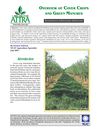 Overview of Cover Crops and Green Manures