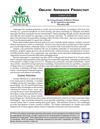 Organic Asparagus Production