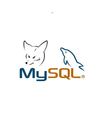 Migracion DB VSFOX a MySQL