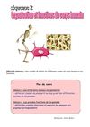 S2 organisation et fonctions