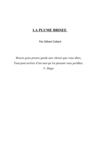 LA PLUME BRISEE