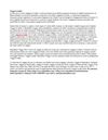 Viaggio in India,Viaggi in India,Viaggio in Rajasthan,Viaggi in Rajasthan,Viaggi Tour India,Rajasthan Viaggi,...