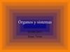Formacion de oragnos y sistemas (entrada nº8)