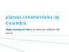 plantas ornametales de colombia