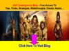 Age Of Conan AOC Guides - Access Free Secret Tips, Tricks, Strategies, Walkthroughs, Cheats, Hacks, and Loopholes,...