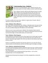 Type 1 Diabetes - You Should Know What is Diabetes