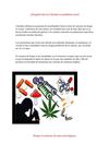 LAS DROGAS EN COLOMBIA UN PROBLEMA SOCIAL