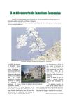 Les BTS GPN en Ecosse