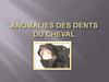 http://dentiste-equin-eure-manche-oise.over-blog.com ANOMALIES DES DENTS SUR LE CHEVAL