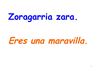 ZORAGARRIA ZARA