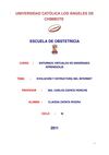 EVOLUCION Y ESTRUCTURA DEK INTERNET