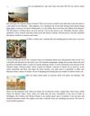 Lonavala Lake- a Celestial Travel Experience to Attractive Hill Station of Maharashtra