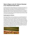 Watch & Wager on the 2011 Belmont Simulcast at our Hollywood Florida Casino 