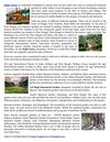 Indian Botanical Gardens- A Home to Multiple Plant Species