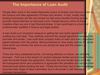 The Importance of Loan Audit