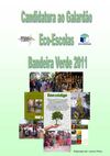 Candidatura ao Galardão Eco-Escolas Bandeira Verde 2011