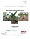 Informe SA Pfgb-p