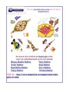 Online Rakhi To India,Buy Rakhi Online,Send Rakhi Gifts To India 