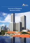 Overview of Singapore Business Entities