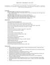 cv-moises-orengo-aviles-resumeV011