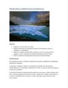 Proyecto Rodriguez (1)