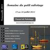 Carnet Cornouaille 2011