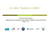 Conférence scientifique sur le sable