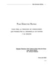 Plan director Rufino_PLAN DE GENERACION DE CONDICIONES PARA EL DESARROLLO 2