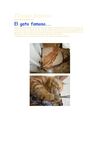 El gato famoso