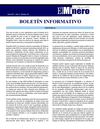 Boletin el Minero Julio 2011 - Año 2 - Número 18 