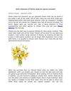 Best collection of Flower shop for special occasion