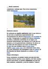 Medio ambiente