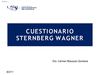 Cuestionario Sternberg Wagner