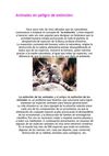 animales en peligro de extincion