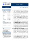 国海证券-110707-2011年中期宏观经济报告-近忧舒缓%2c远虑未除