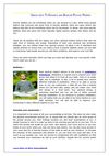 Simple ways To Enhance and Develop Psychic Powers