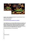 129.000.—Gewinn Roulette Roulettesystem Transversale Geheim Technik SelMcKenzie Selzer-McKenzie