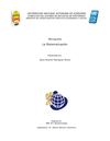 Monografía: La Sistematización