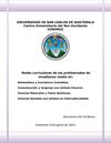 -CUNOROC- Redes curriculares de los profesorados de enseñanza media en: Matemática y Económico Contables....