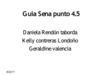 Guía Sena punto 4.5 