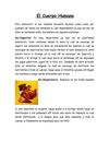 sistema cuerpo humano