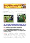 como educar a un perro cachorro - como educar a un perro - manual adiestramiento canino
