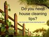 Easy Green House Cleaning Tips