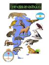 Enciclopedia Animales en Peligro de extinción