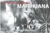 truth-about-marijuana-booklet-es