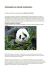 animales en via de extincion