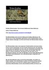 Krabben Winkerkrabben Tiere Animals SelMckenzie Selzer-McKenzie