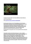OrangUtan Orang Utan Affen Tiere Animals SelMcKenzie Selzer-McKenzie