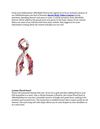 Announcement New Wikifashionista Street Style Video Contest Sponsor – AFFORDABLE SCARVES