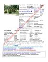 7027 Lacy Hill Dr, Houston TX-Option Pending as of Sept 5 2011. Listed & Sold by Ben Huynh, REALTOR in 35 days.